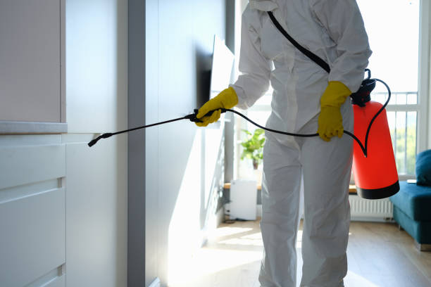 Best Emergency Mold Removal  in Rio Grande, OH