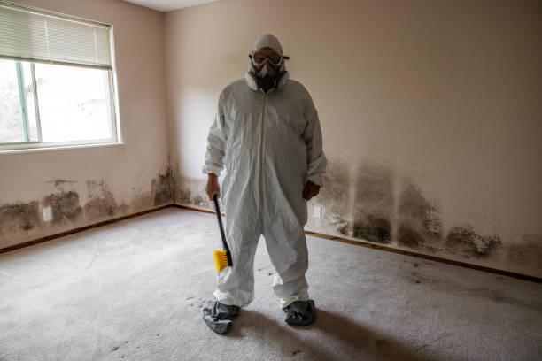 Best Office Mold Removal Services  in Rio Grande, OH